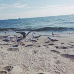 莱特斯娱乐:如何在竞争激烈的市场中脱颖而出 4bseeyzqz