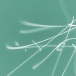 苏豪娱乐的独特风格:如何吸引年轻人的目光 50nju6q3mf