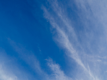 菲比平台：如何通过创新技术提升用户体验与服务质量