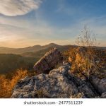 至尊赌场的游戏规则:新手玩家必备的指南 anwq3i9x70