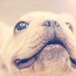 CBA联赛吉林队精彩对决直播,今晚激烈开战不容错过 i6saxab