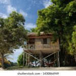 至尊国际app官方下载入口合集与版本兼容性分析 qfx98mu