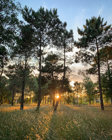 腾博汇官网网址解析:诚信经营的行业标杆
