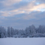 《好声音第四季》高清完整版在线直播视频回顾 j8l1pyg